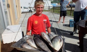 Uiteindelik vir Birkenheaders